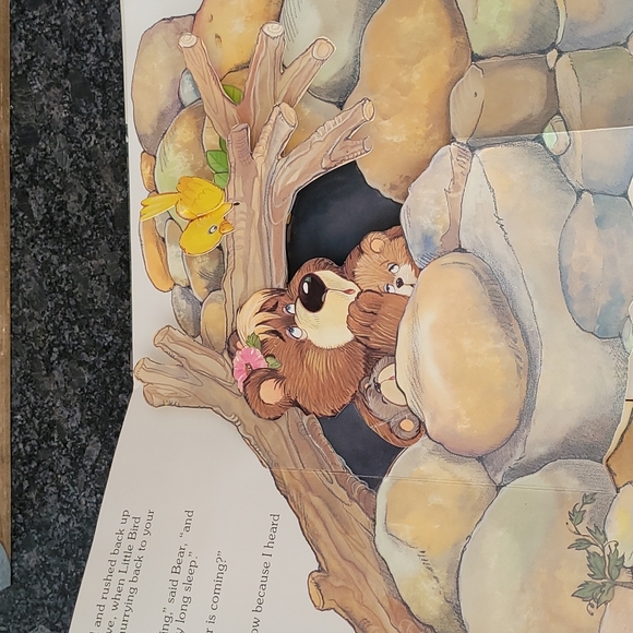 Children's Pop-up Book - "I Heard it from a Little Bird" - Picture 8 of 10